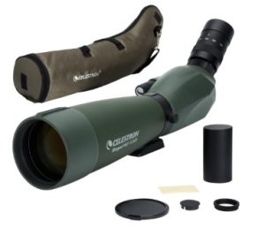 Celestron Regal M2 20-60x80