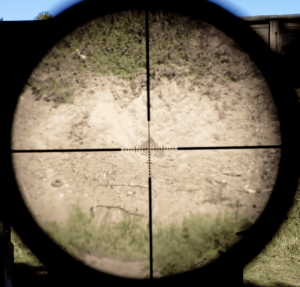 Best Vortex Scopes for 22-250